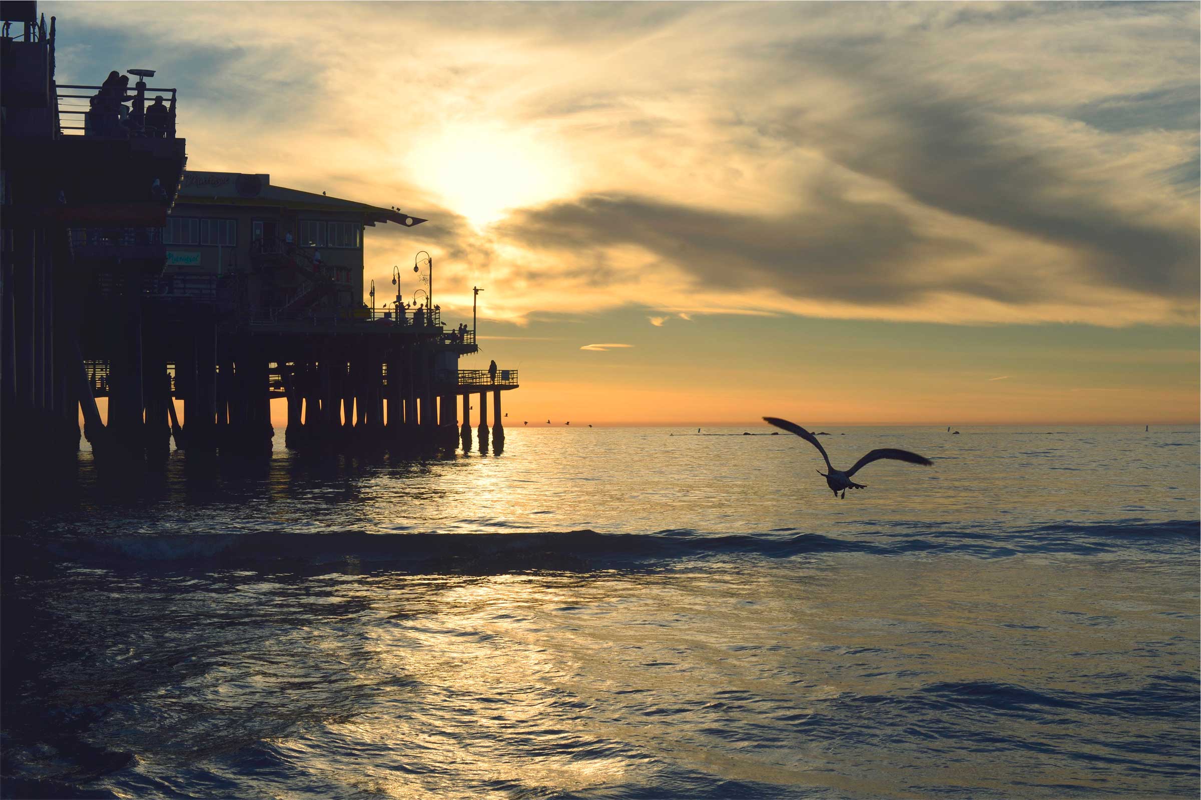 A pier with a seagull.